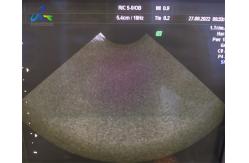 China GE RIC5-9-D Ultrasound Probe Repair Crystal Array 4D Dome Cable Replacement supplier
