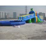 Inflatable hippo slide outdoor slide , inflatable hot slide for sale