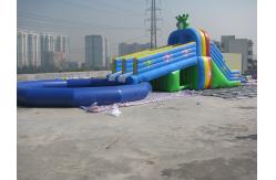 China Inflatable hippo slide outdoor slide , inflatable hot slide supplier