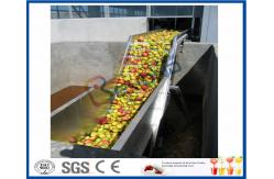 China Fruit Juice Processing Machines , Apple Processing Machine For Juice Making supplier