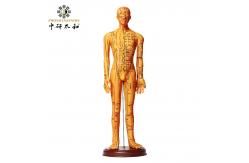 China Acupuncture Needles Practice Model For Safe And Precise Training supplier