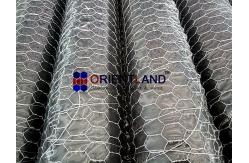 China 3ft Chicken Wire Netting , 0.7mm Poultry Mesh Netting supplier
