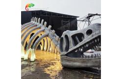 China ISO Animatronic Dinosaur Skeleton Passageway supplier