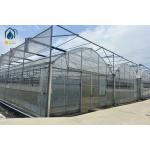 Large Scale Farming Multi Span Film Greenhouse Customizable For crop cultivation for sale