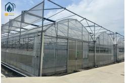 China Large Scale Farming Multi Span Film Greenhouse Customizable For crop cultivation supplier