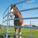6 Foot Farm Cattle Crush Fence Cattle Handling Metal Animal Livestock Fence Panels for sale