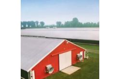 China Customized Modern Steel Structure Chicken House Layer Cage For Chickens Poultry Farm supplier