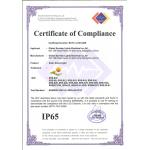 Global Sunrise lights Electrical Co.ltd Certifications