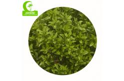 China Anti Fading Aesthetic H90cm Artificial Topiary Tree For Restaurant supplier