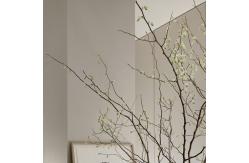 China 80cm Artificial Tree Branches Custom Simulated Plant Interior Ornaments supplier