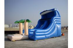 China Funny Inflatable Water Slide , Inflatable Amusement Park For Entermainment supplier