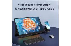 China High Quality 15Inch Portable Monitor 1080P USB-C for Laptops supplier