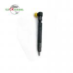 New Fuel Injector EJBR00301D A6710170121 for Delphi Engine