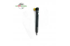 China New Fuel Injector EJBR00301D A6710170121 for Delphi Engine supplier