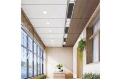 China 2.44m Length 8/9mm Thickness Aluminum Honeycomb Panel Ceiling supplier