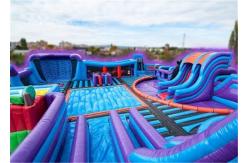 China Durable Inflatable Theme Park With PVC Tarpaulin Material Purple And Blue supplier
