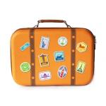 Custom Printed EVA Storage Case Big Capacity Tool Carry With Handle for sale