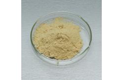 China Yellow Glucose Oxidase Enzyme Powder Providing Enzyme Preparation Sample supplier