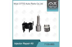 China 7135-663 Delphi Injector Repair Kit Nozzle-Valve Kit Nozzle-CVA Kit supplier