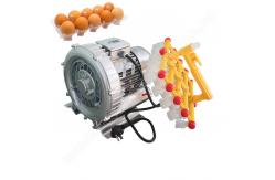 China Rubber Egg Vacuum Lifter Sucker Machine To Transfer Eggs Single / Double Handle supplier
