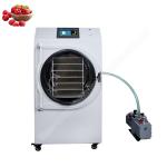 Lyophilizer Freeze Dryer Machine Meat Freeze Dry Machine For Milk Vegetables for sale