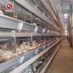 Anti Rust H Type Layer Battery Cages For Laying Hens 108 birds / set for sale