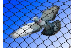 China Hand Woven Aviary Wire Netting Inox Line Customized 7x7 / 7x19 Structure supplier