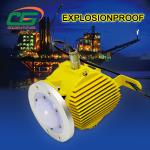 Multifunction Industry Light 50w Explosionproof IP66 5000lm 60HZ for sale