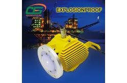 China Multifunction Industry Light 50w Explosionproof IP66 5000lm 60HZ supplier