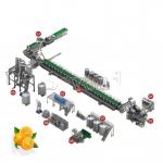 3 In1 Automatic Citrus Fruit Juice Processing Machine for sale