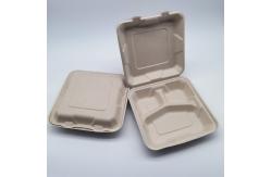 China 3 Compartment Biodegradable Clamshell Food Containers 9 Inch Greaseproof supplier