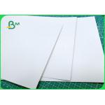 200gsm - 800gsm Excellent Toughness Ink Absorbability Duplex Board In Sheet / Roll