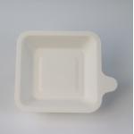 110mm Oilproof Square Compostable Plates , Waterproof Disposable Bagasse Plates for sale