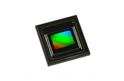 China Sensor IC​ NOIX1SN045KB-GTI CMOS Global Shutter Image Sensors supplier