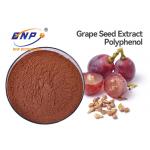 China Antioxidant Grape Seed Extract Supplement Polyphenol 70% for sale