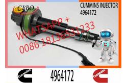 China Fuel Injector Assembly Y431K05417 F00L0J019 4964172 2867147 2882077 For Qsk19 Engine supplier