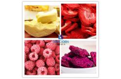 China Home Use Food Freeze Dryer Machine Built In Cold Trap supplier