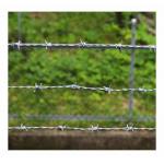 KN Hot Selling Fencing Barbed Wire Electro Galvanized Barbed Wire for sale