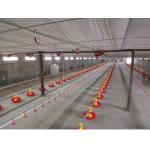 Broiler Automatic Pan Feeding System 2.2KW Automatic Water System For Chickens for sale