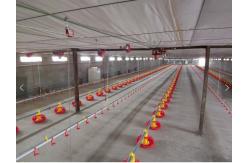 China Broiler Automatic Pan Feeding System 2.2KW Automatic Water System For Chickens supplier