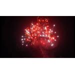 Liuyang 20 Shots 500g Customized Cake Fireworks For New Year for sale