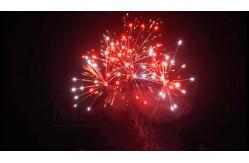 China Liuyang 20 Shots 500g Customized Cake Fireworks For New Year supplier