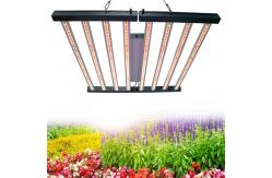 China Folding 2400lm 640w Indoor Led Grow Light IP44 supplier