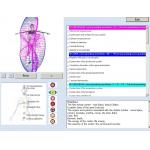 8d Nls / 9d Nls Body Health Analyzer Machine Quantum Bio Resonance for sale