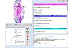 China 8d Nls / 9d Nls Body Health Analyzer Machine Quantum Bio Resonance supplier