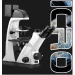 Trinocular Inverted Biological Microscope LWD Infinity Plan Phase Contrast Objectives
