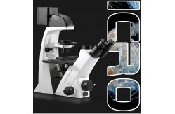 China Trinocular Inverted Biological Microscope LWD Infinity Plan Phase Contrast Objectives supplier