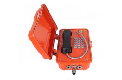 China Wall / Pillar Mounting Explosion Proof Telephone supplier