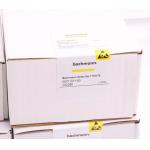Bachmann Module DIO280 Digital Input/Output module Bachmann DIO280 *competitive Price