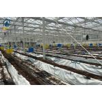 Plastic Multi Span Eco Friendly Greenhouse With Temperature Controlled Growing